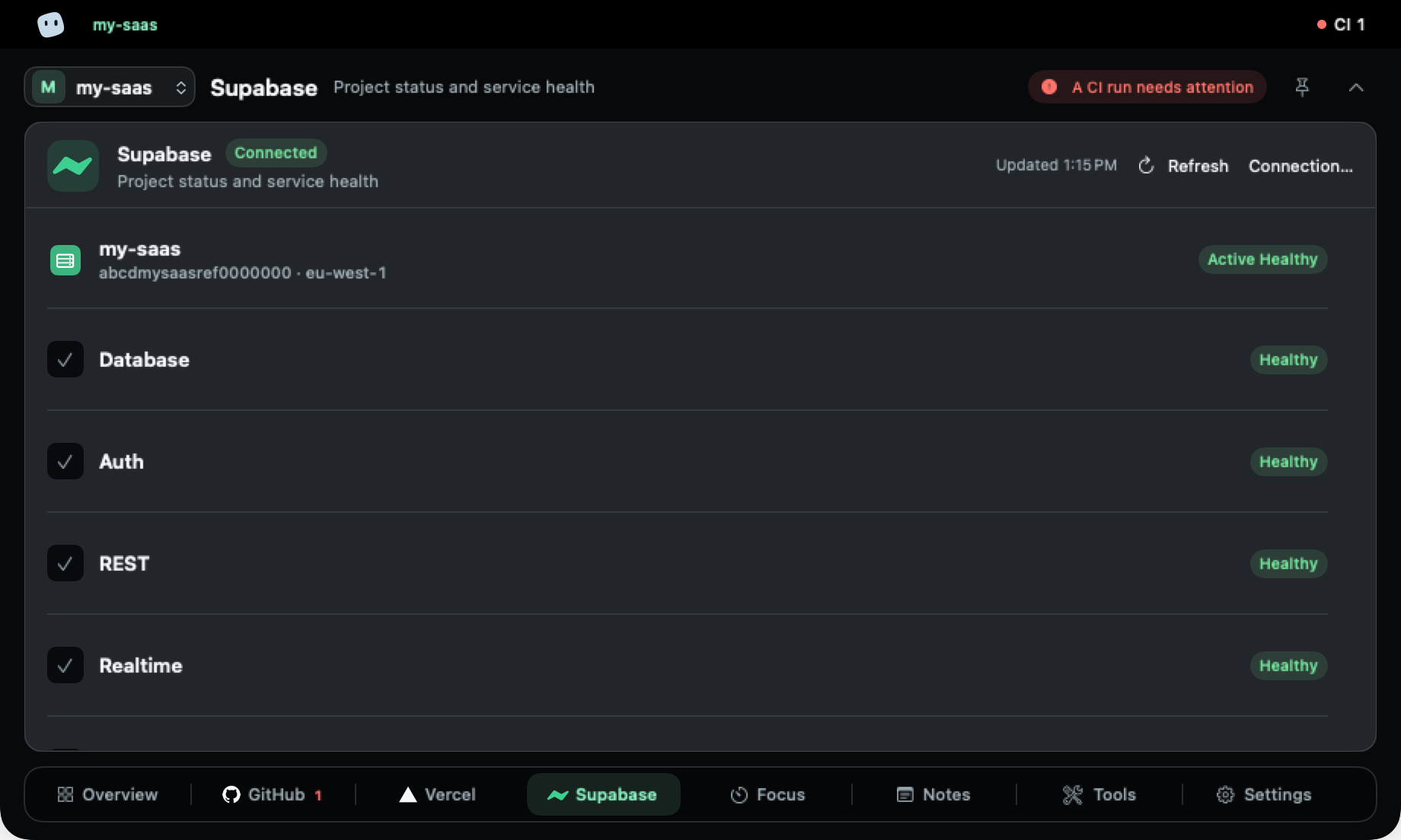 Infrastructure tab with Supabase: project status and the health of each service.